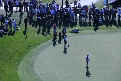 DSC_0744 (Large).JPG